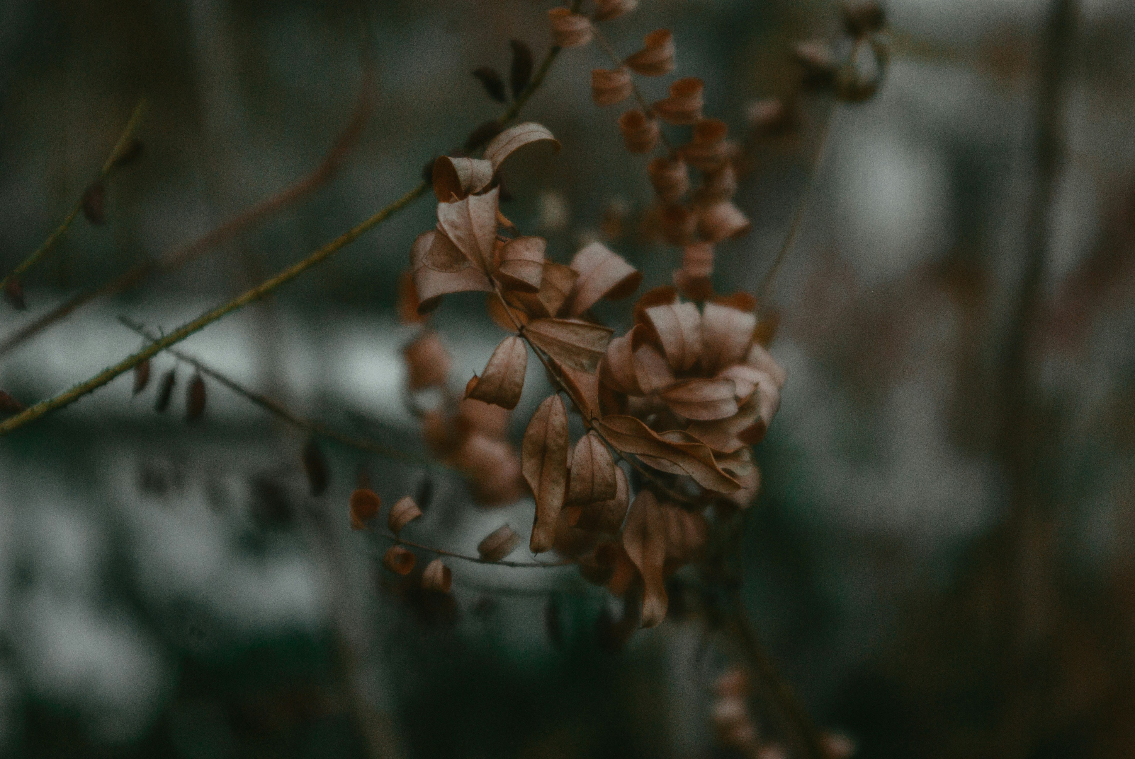 Photo by moonmoons_days