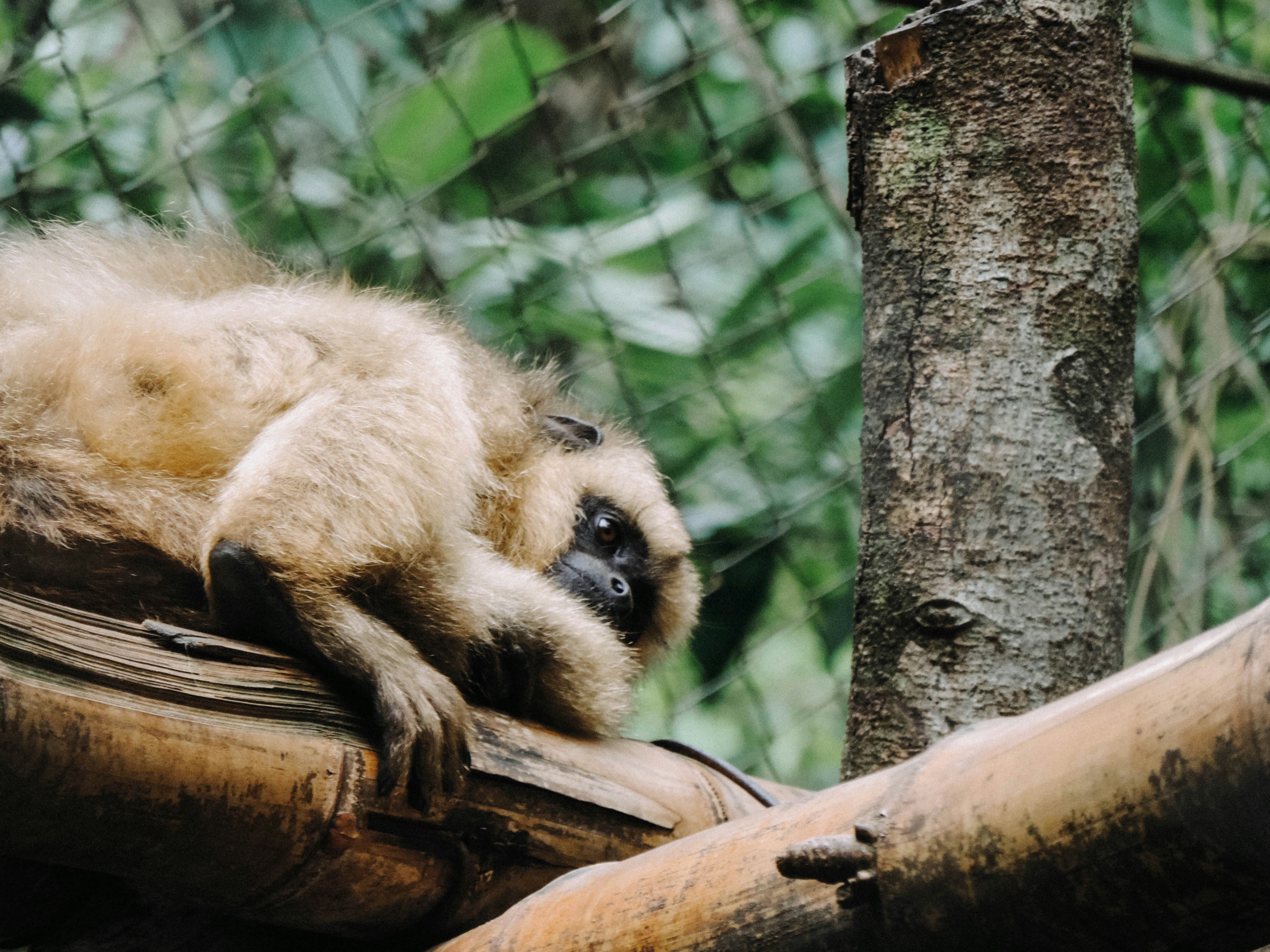 Photo by nanettemudry