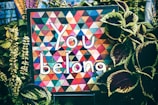 a sign that says you belong surrounded by plants