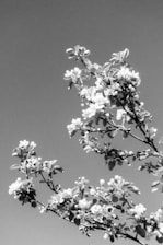 Coaching and Therapy Salisbury