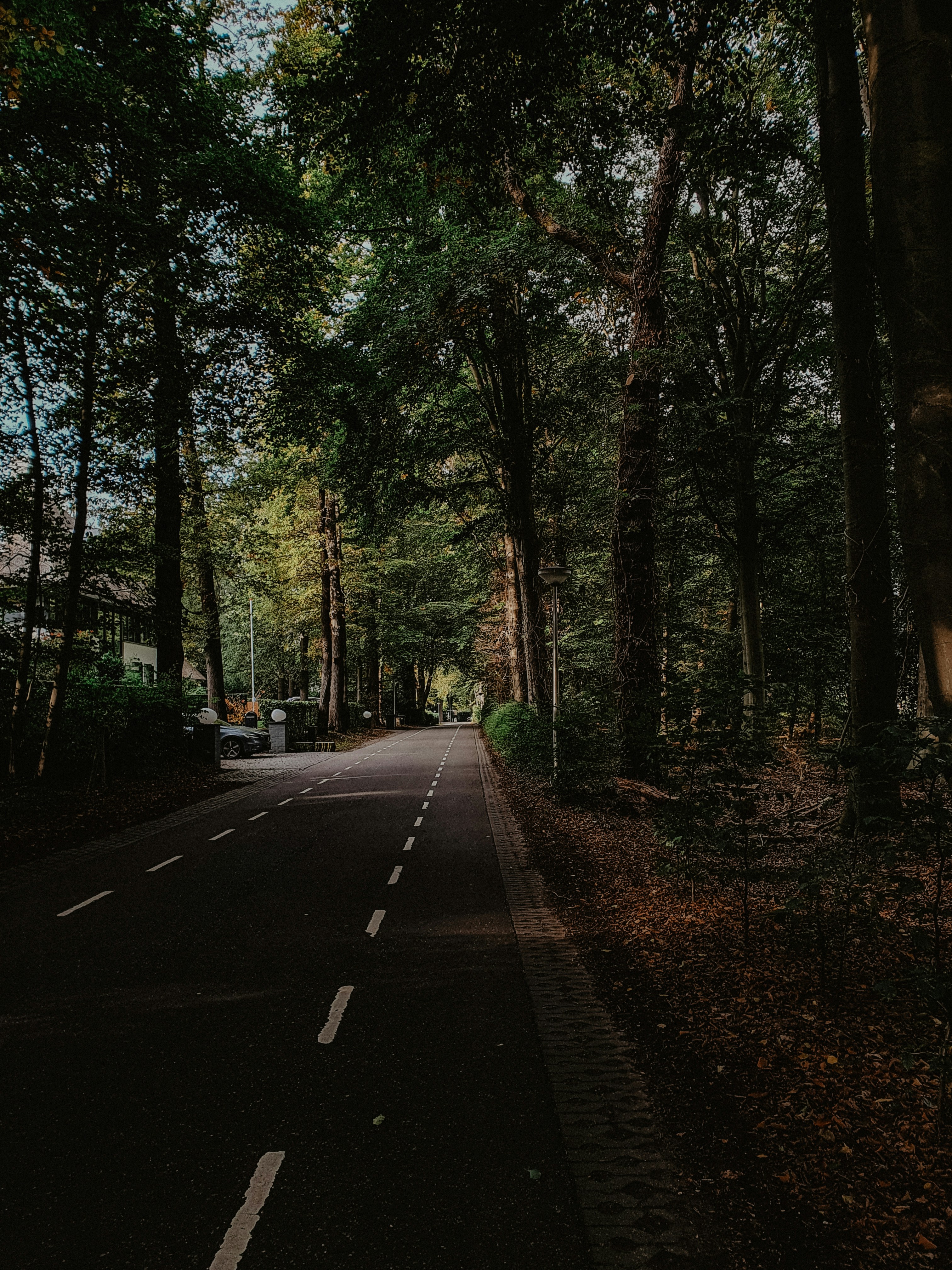 Photo by beauty_van_stam