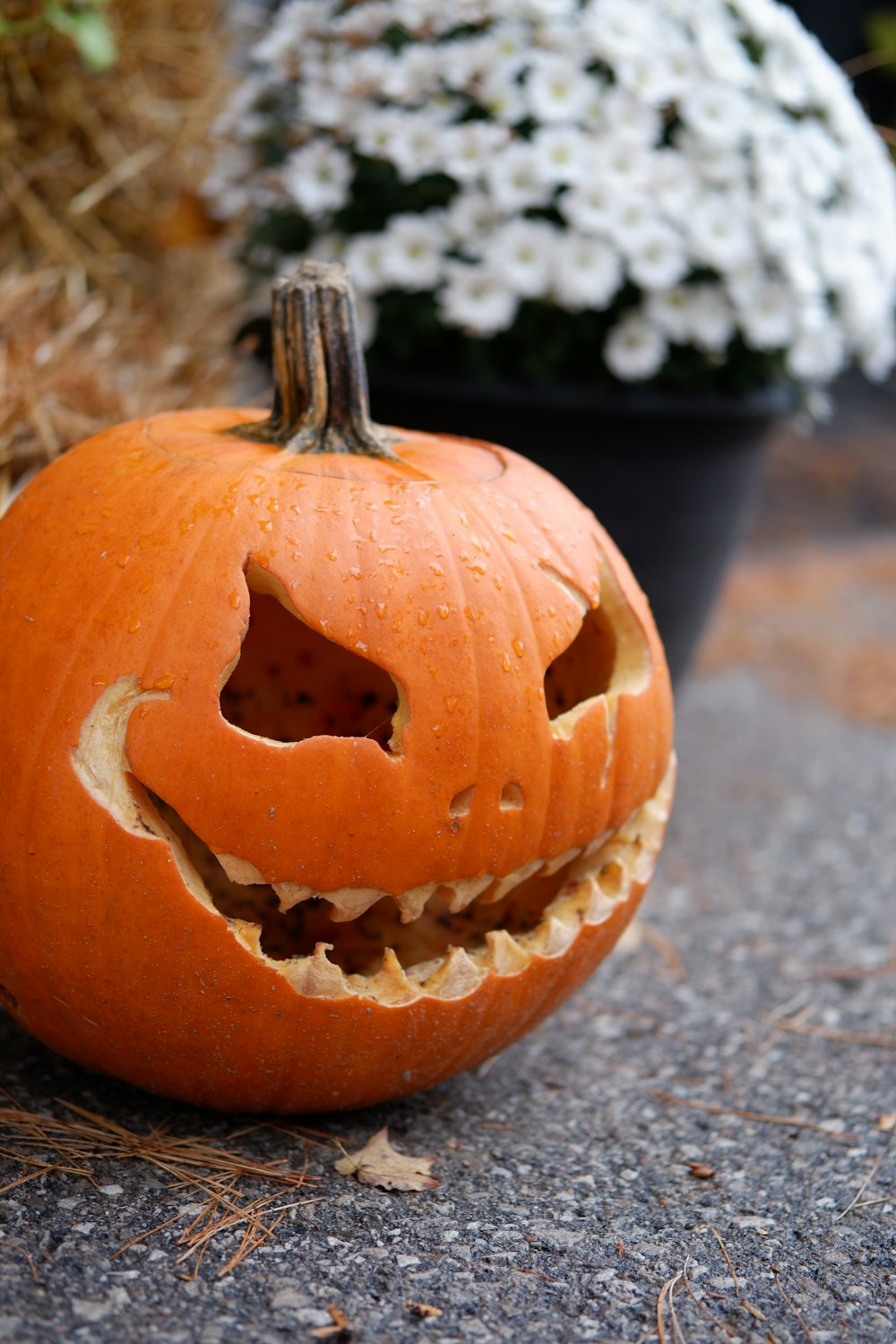 a pumpkin with a face carved into it