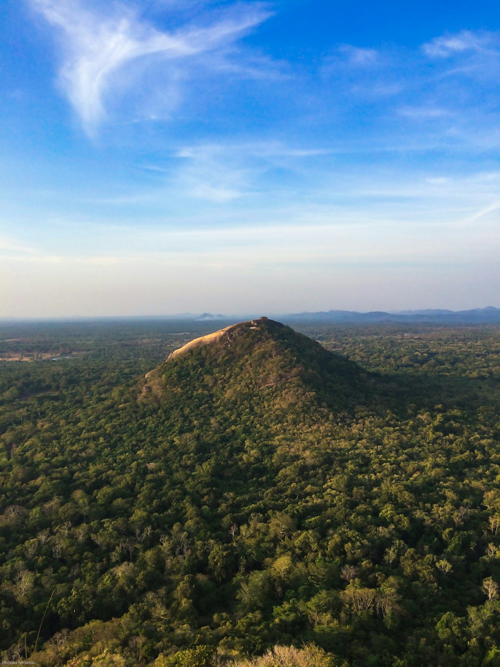 a view of a hill in the middle of a forest