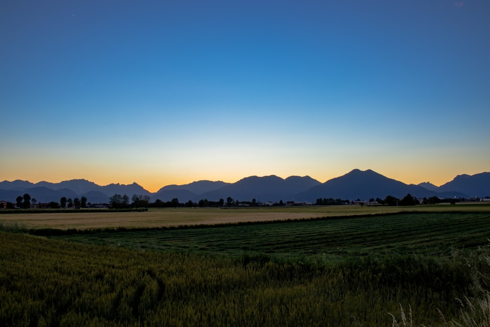 a grassy field with mountains in the distance