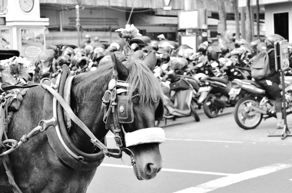 a black and white photo of a parade with horses
