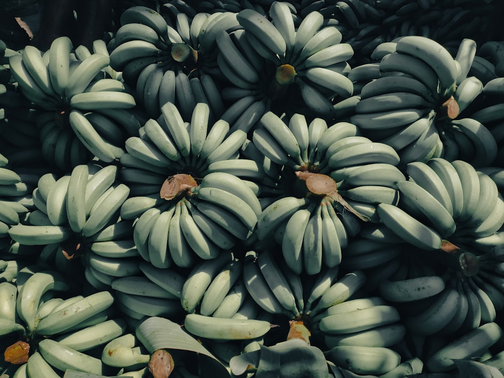 un bouquet de bananes vertes assises les unes sur les autres