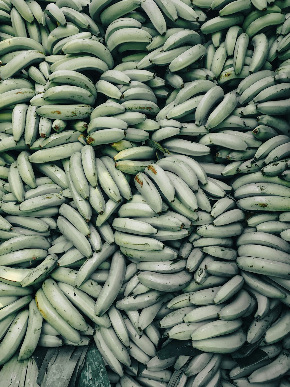 a large pile of bananas sitting on top of each other