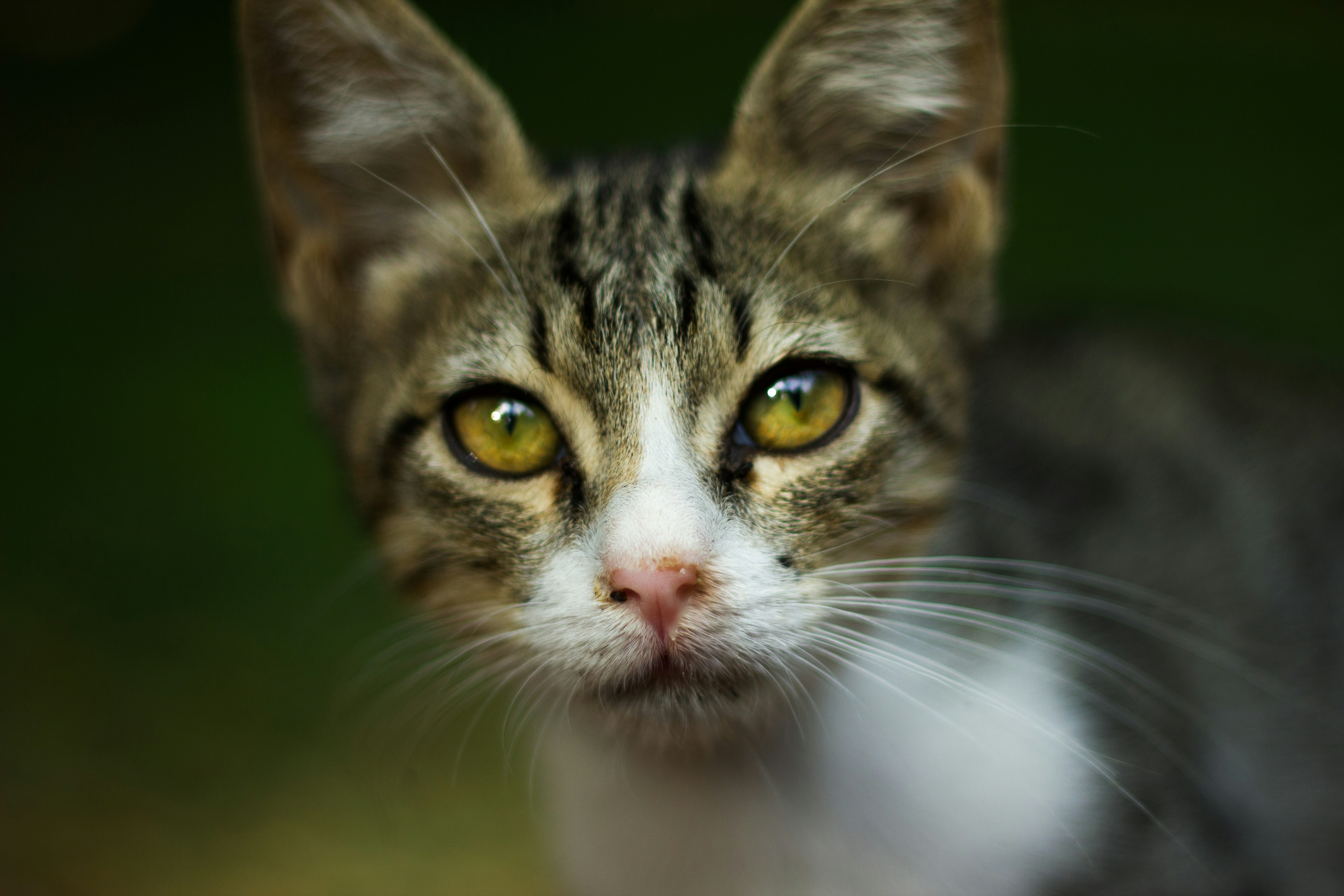 Photo by seviyetekdal