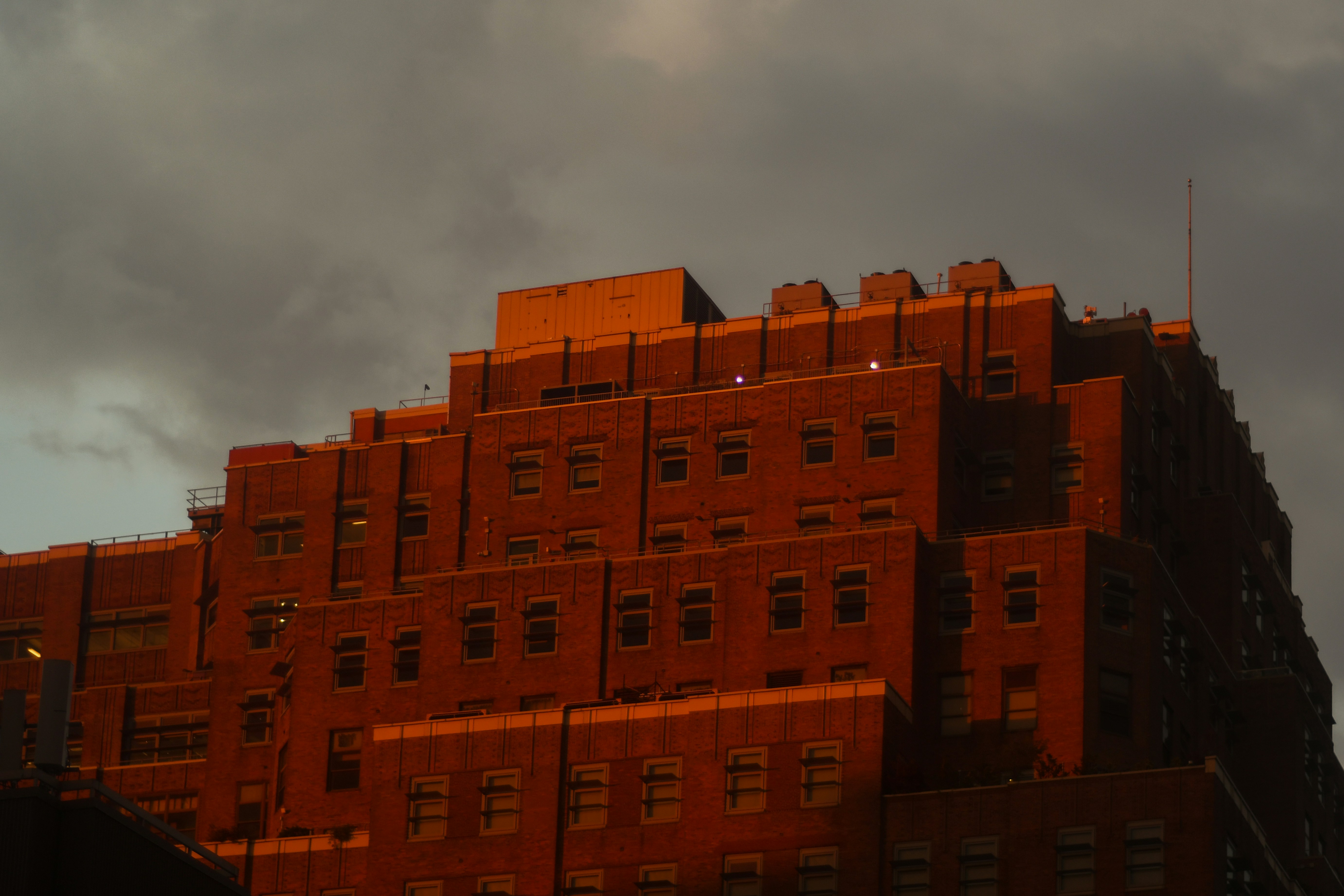 Photo by megindoors