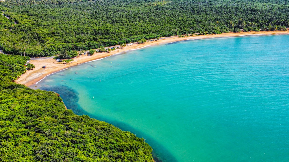 an aerial view of a beach surrounded by trees