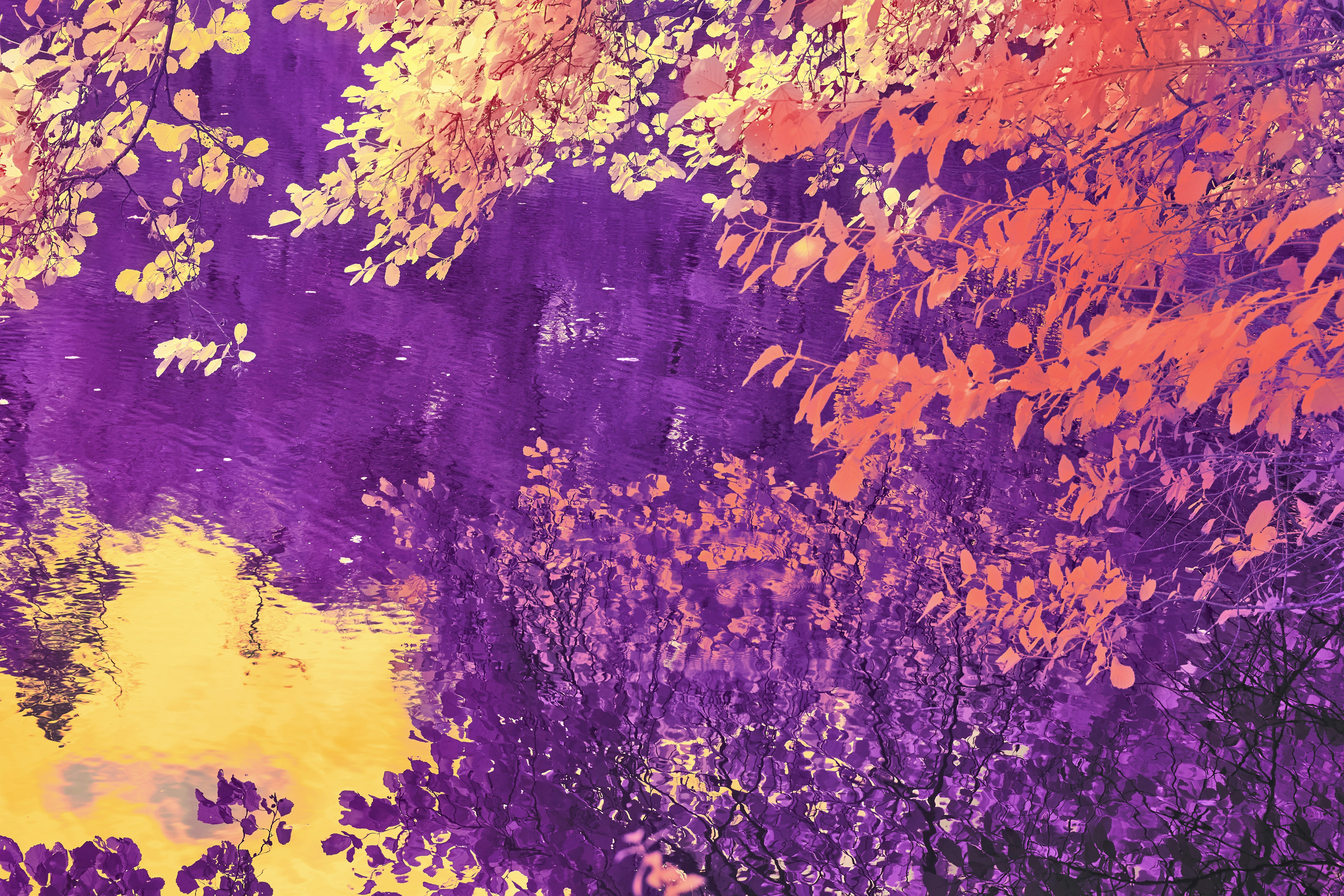 Photo by wolfgang_hasselmann