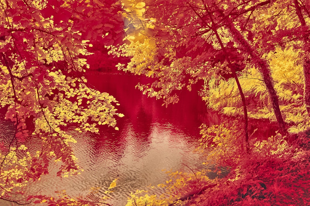 a lake surrounded by trees with red and yellow leaves