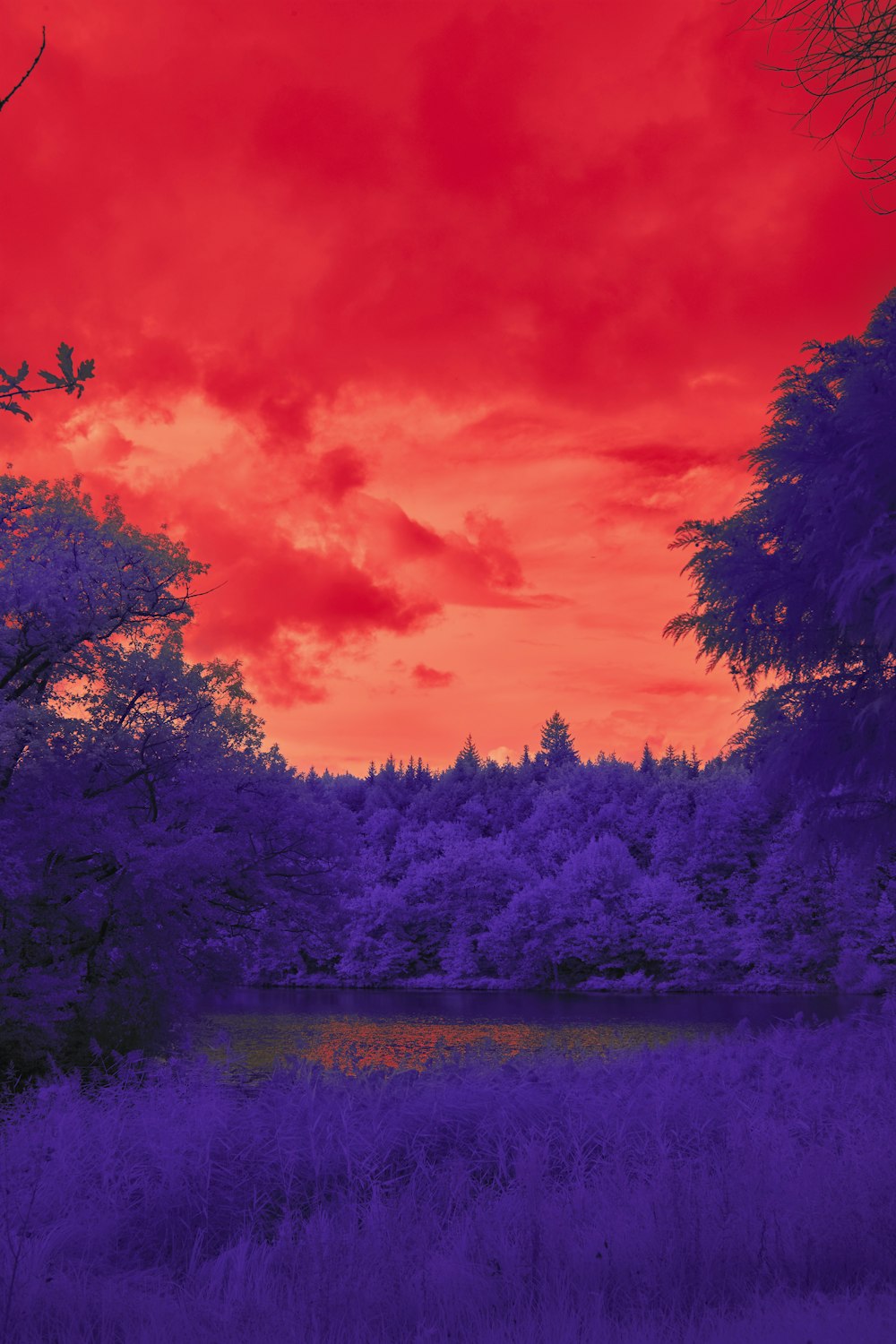 a red and purple sky over a lake