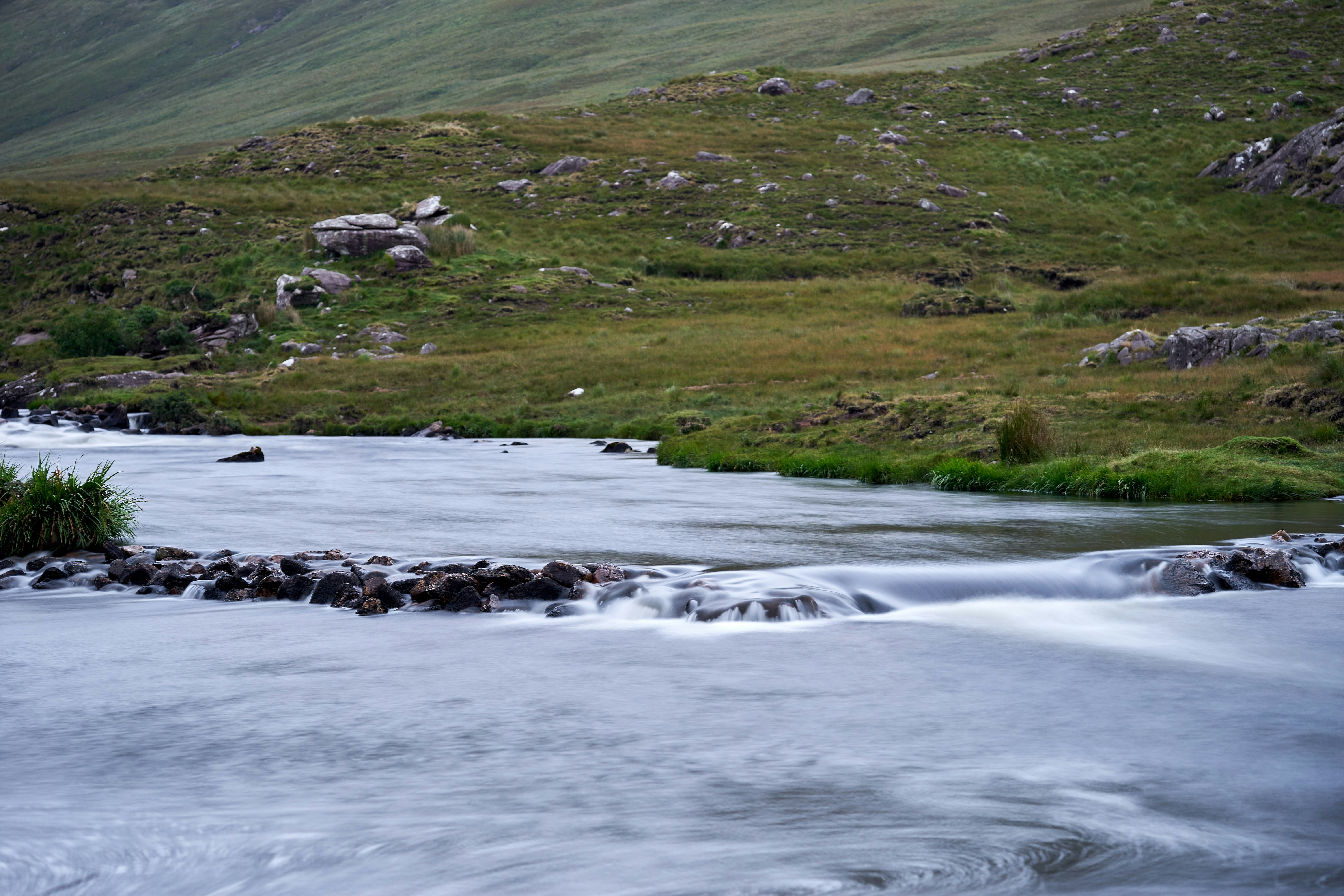 Photo by wolfgang_hasselmann