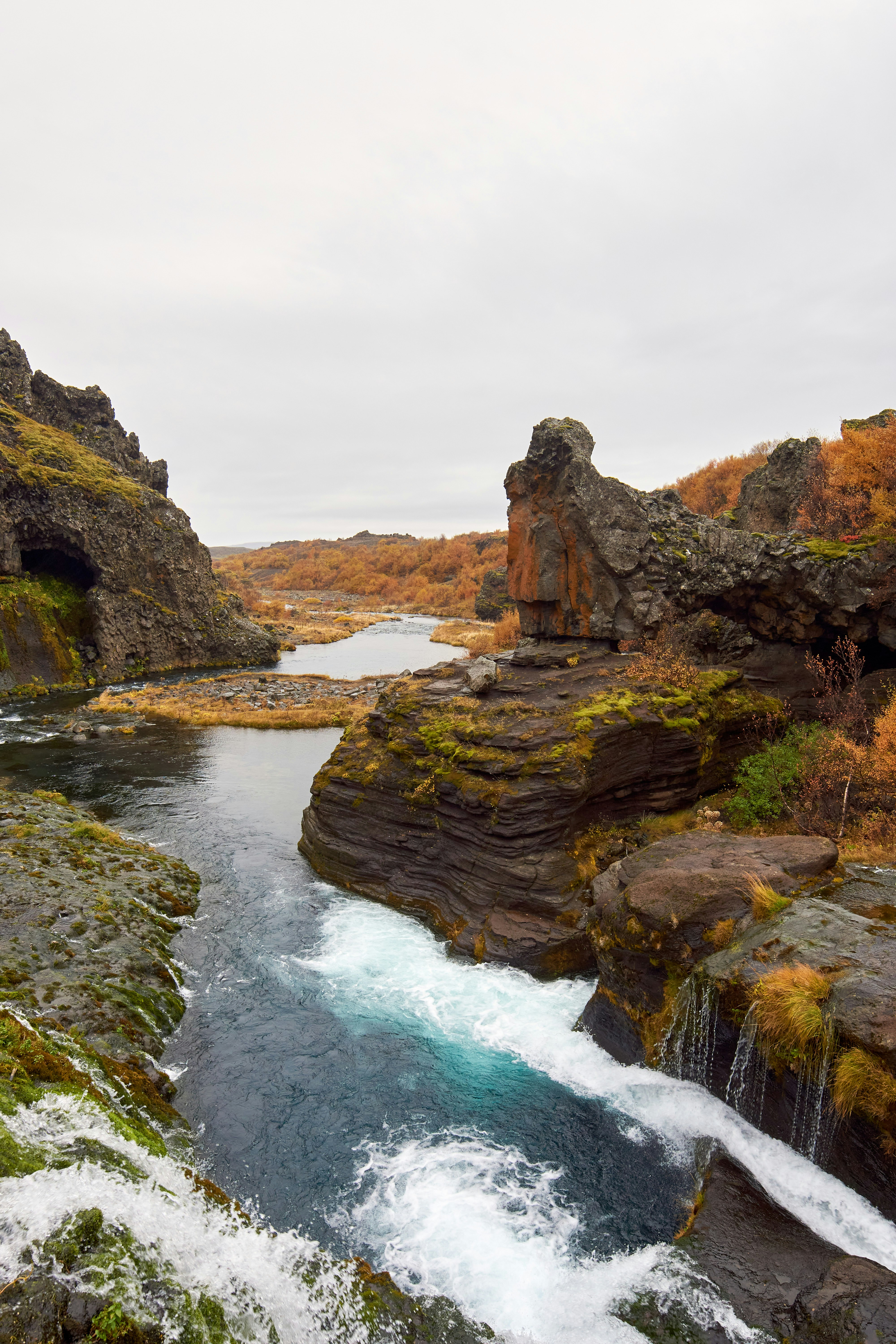 Photo by wolfgang_hasselmann