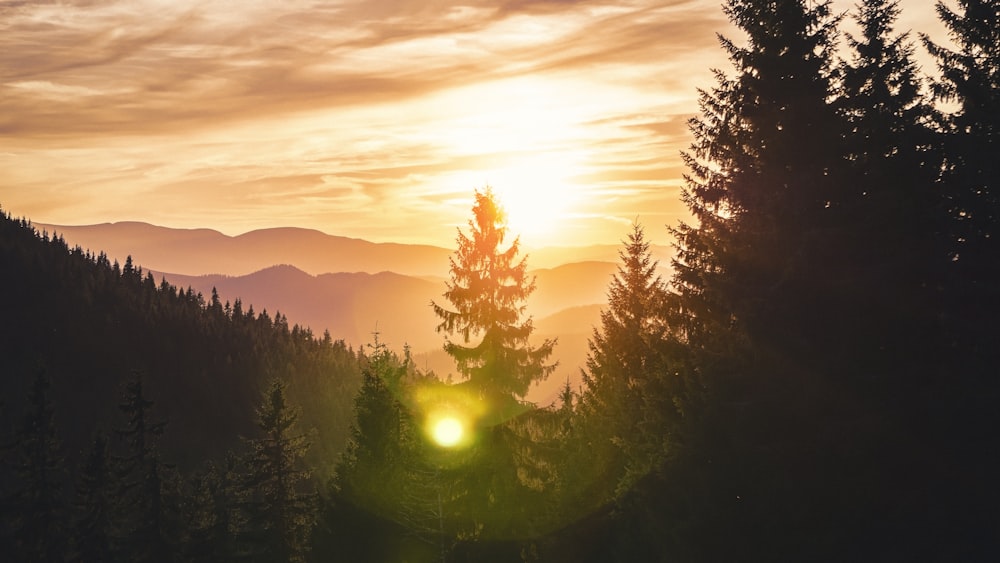 o sol está se pondo sobre as montanhas e árvores