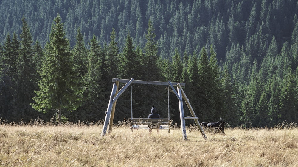 a swing set in a field with a forest in the background
