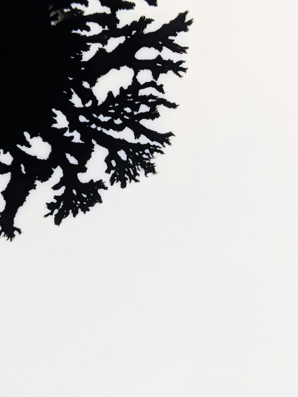 a black and white photo of an airplane flying in the sky