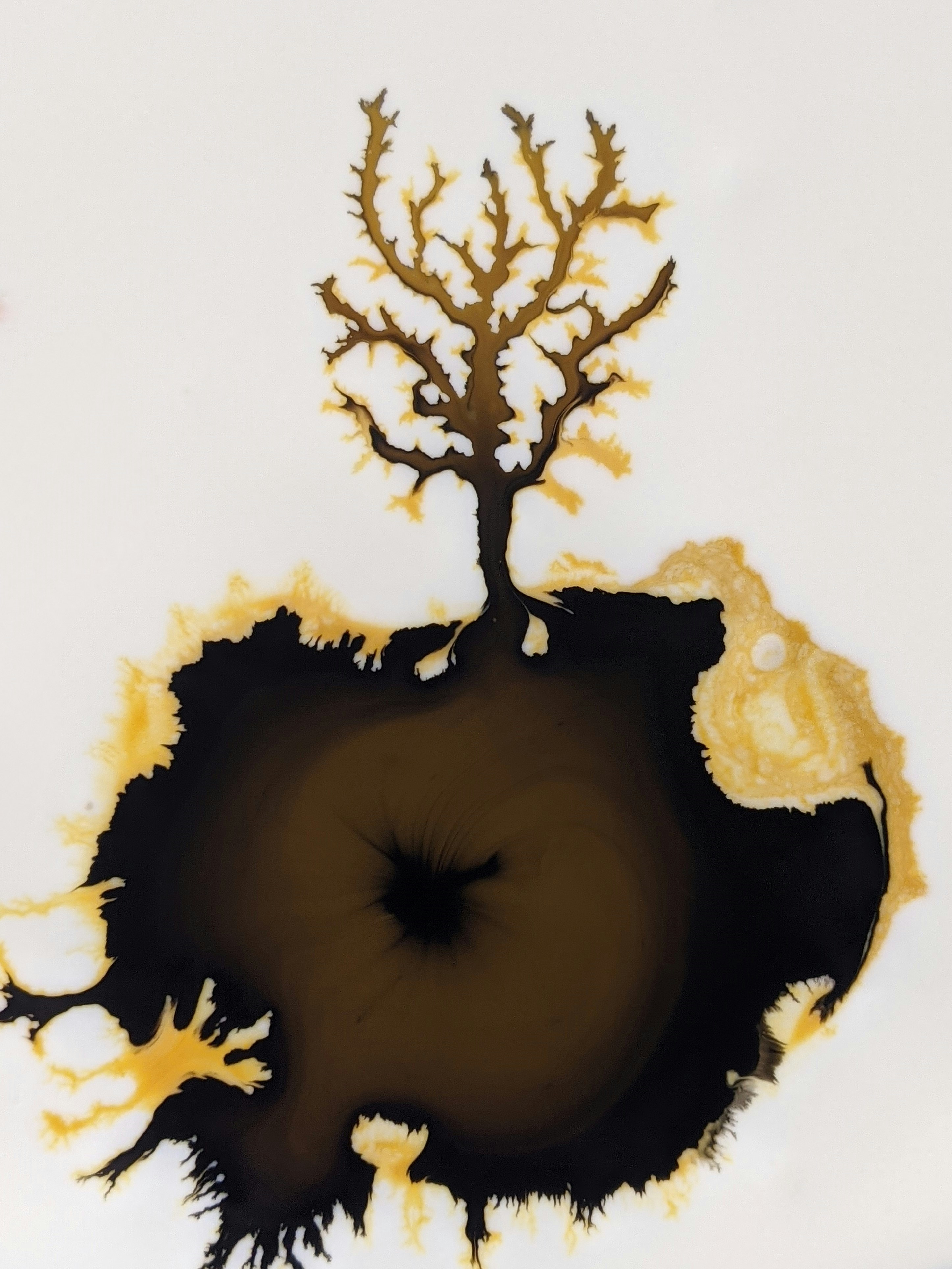 Photo by susan_wilkinson