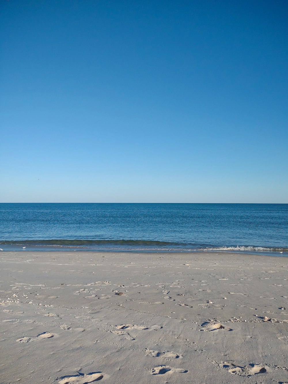 a person walking on a beach with a surfboard