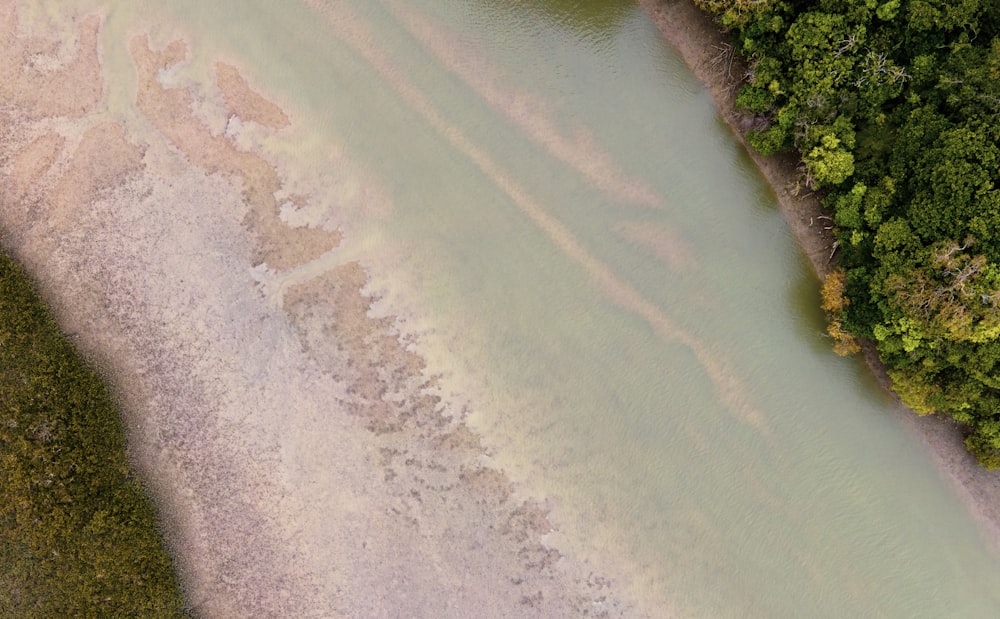 an aerial view of a body of water surrounded by trees