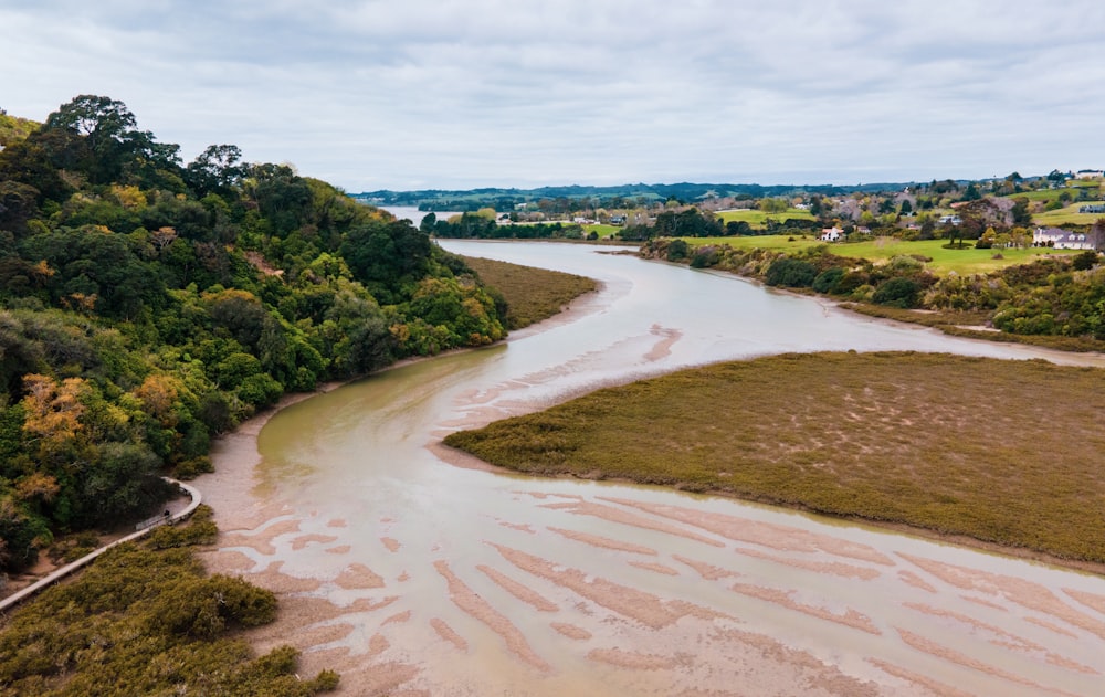 une rivière qui coule à travers une forêt verdoyante