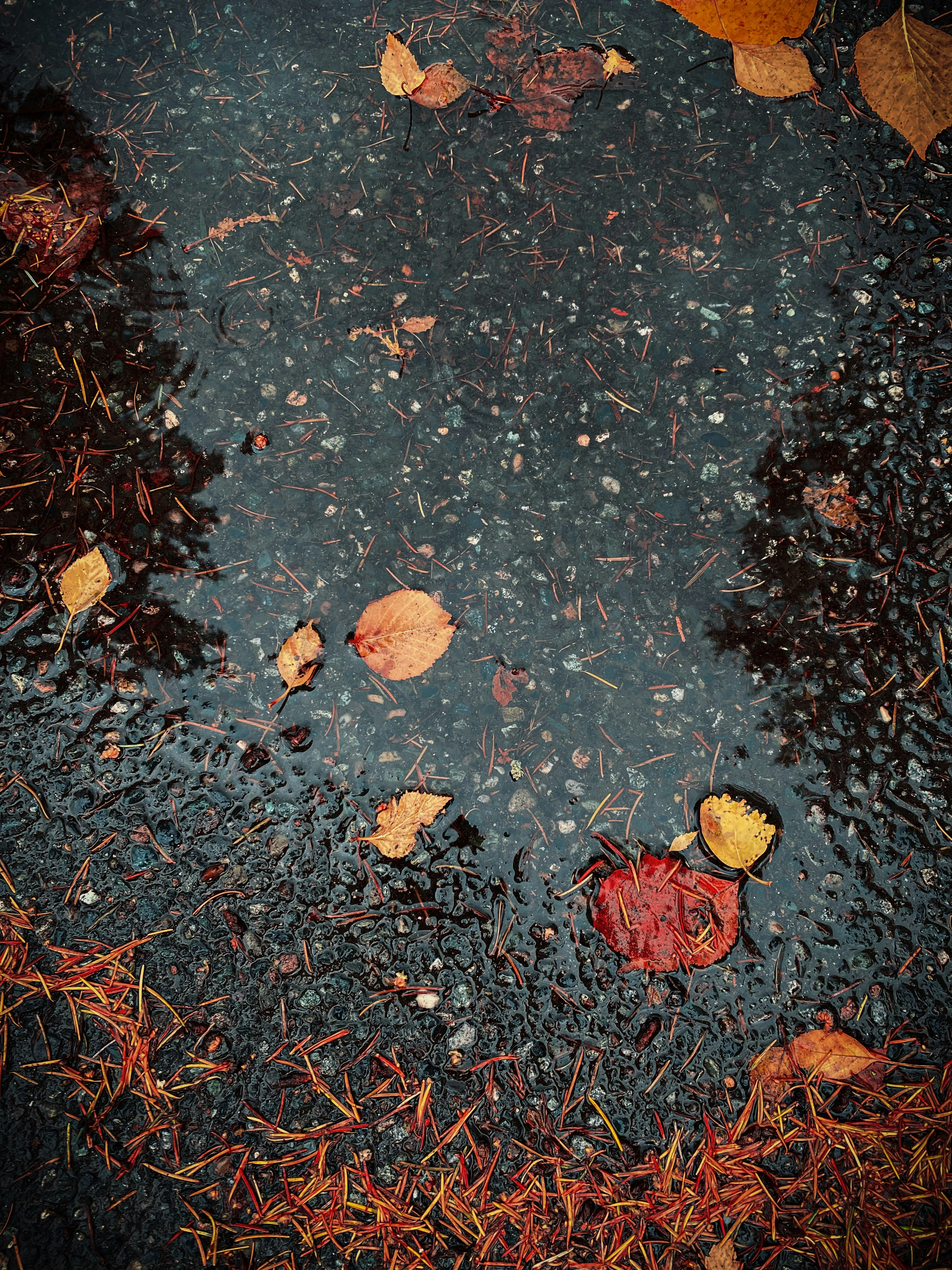 Photo by avatyler