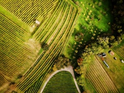 an aerial view of a farm and a road