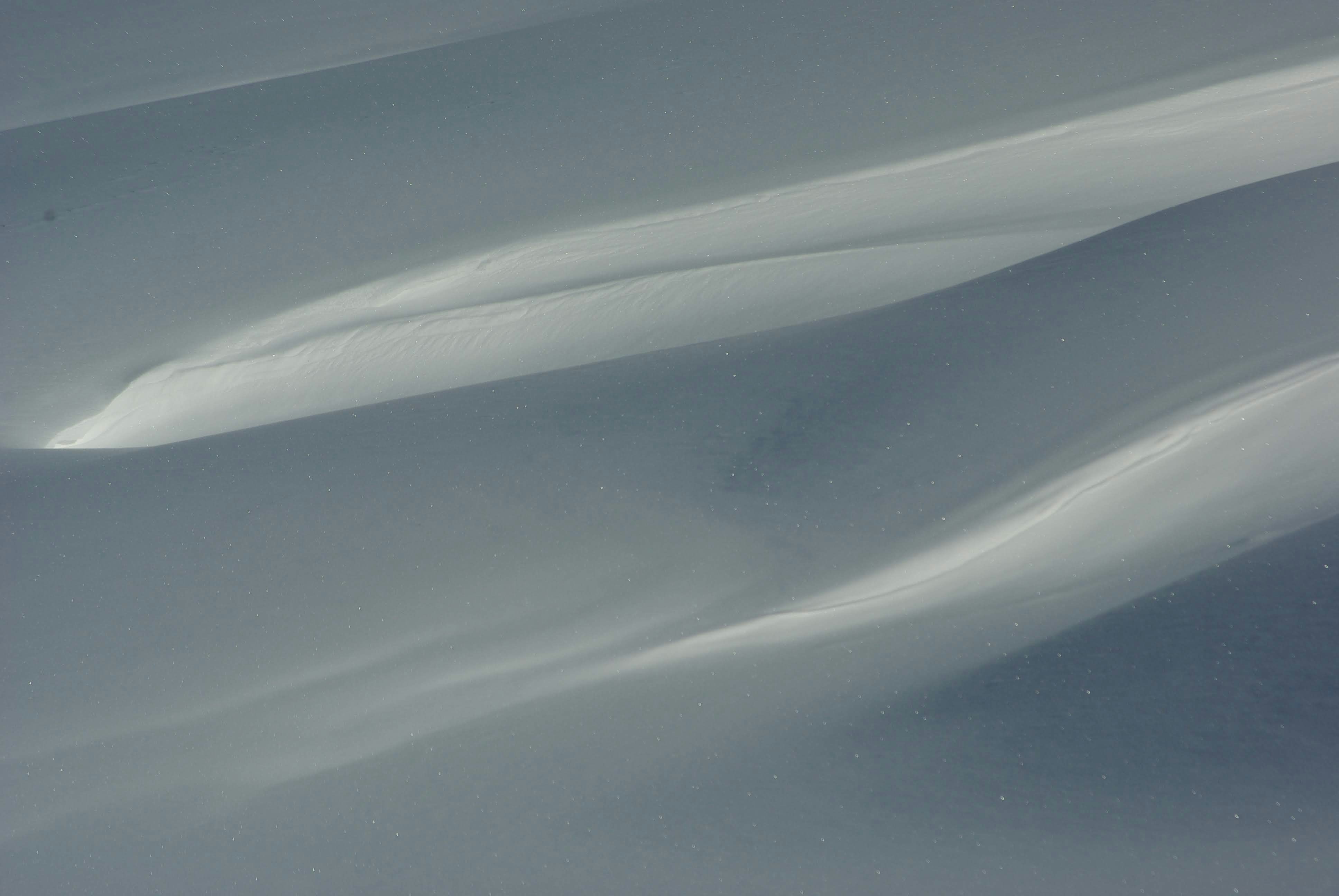 Photo by veronesi_fr