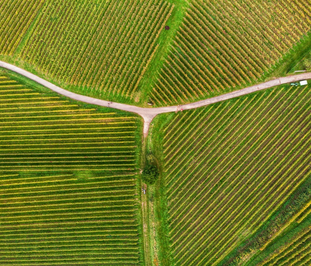 an aerial view of a road running through a field