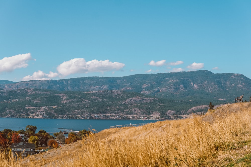 a person riding a horse on a hill near a body of water