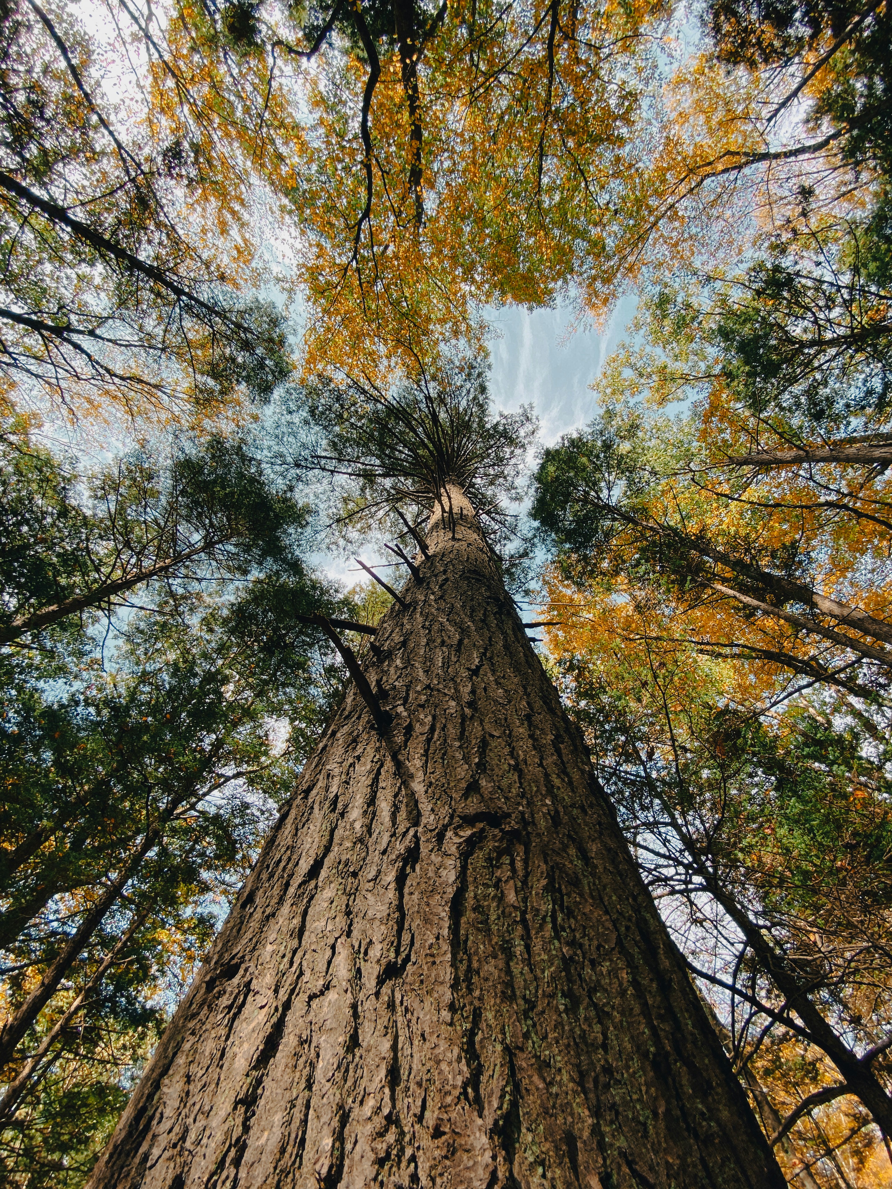 Photo by lycheesplash