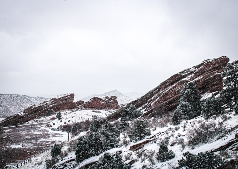 a mountain covered in snow with trees on the side