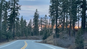 A colorful sunset over a winding mountain road framed by tall pine trees