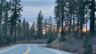 A colorful sunset over a winding mountain road framed by tall pine trees