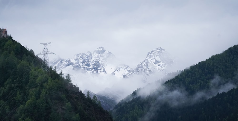 a view of a mountain range with trees on the side