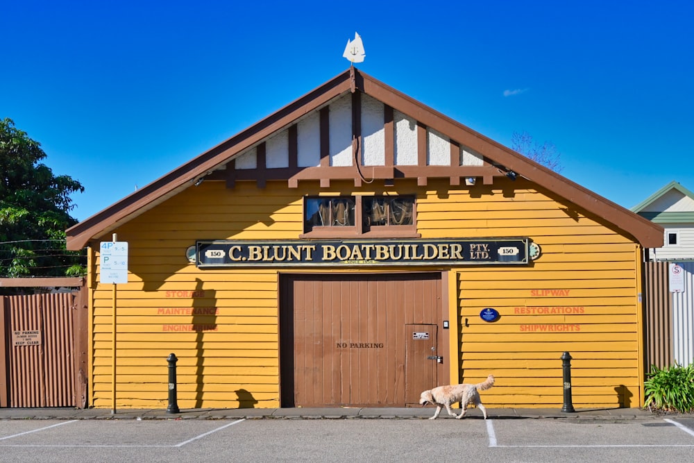 a dog walking in front of a yellow building