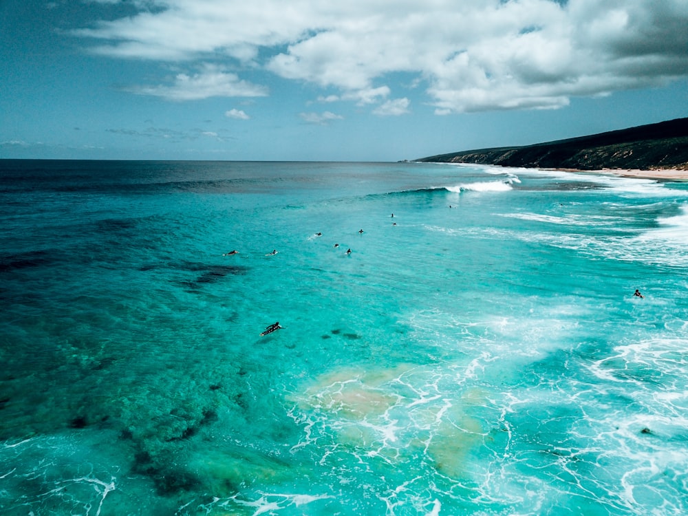 a group of people swimming in the ocean