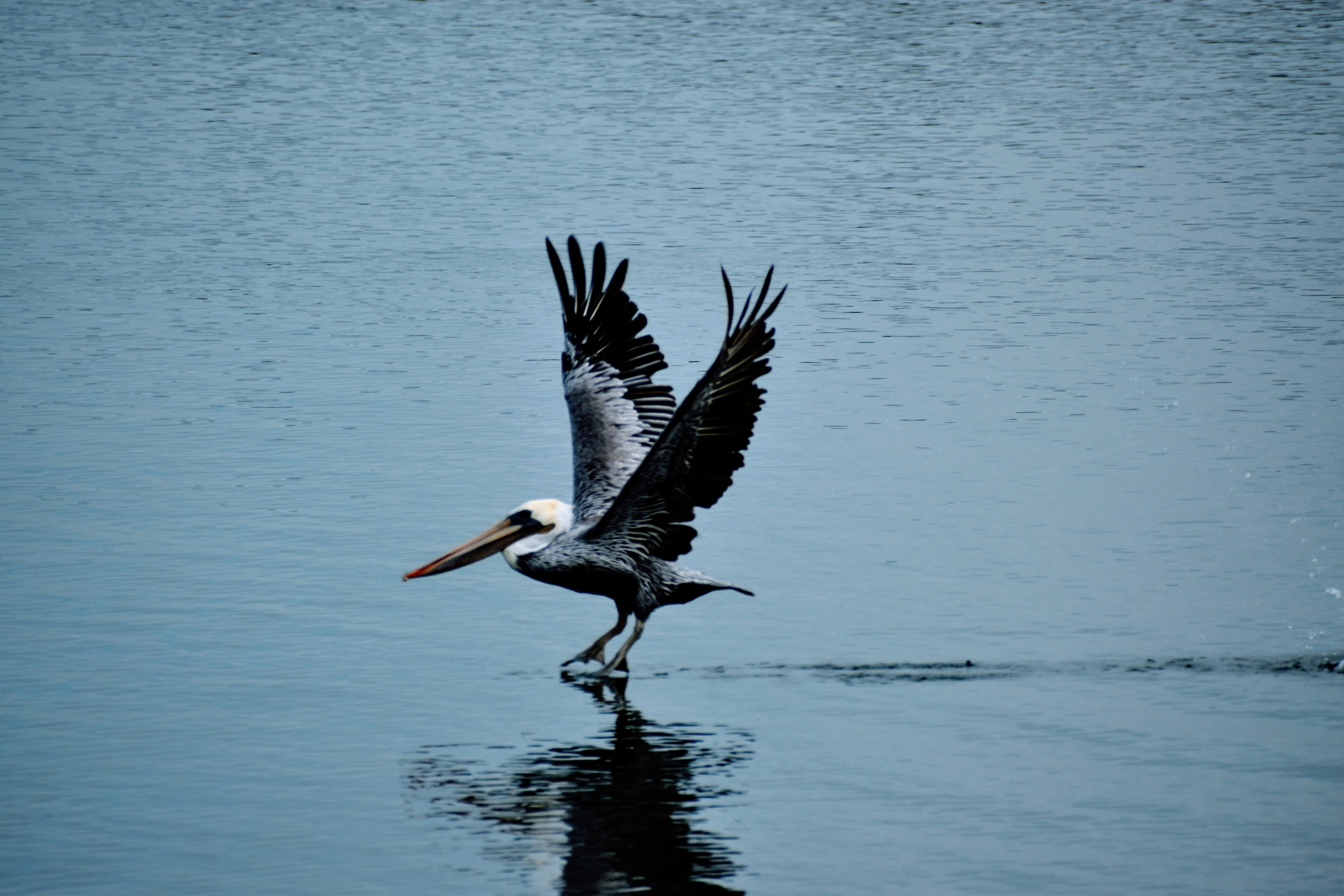 Photo by jennykaypollock