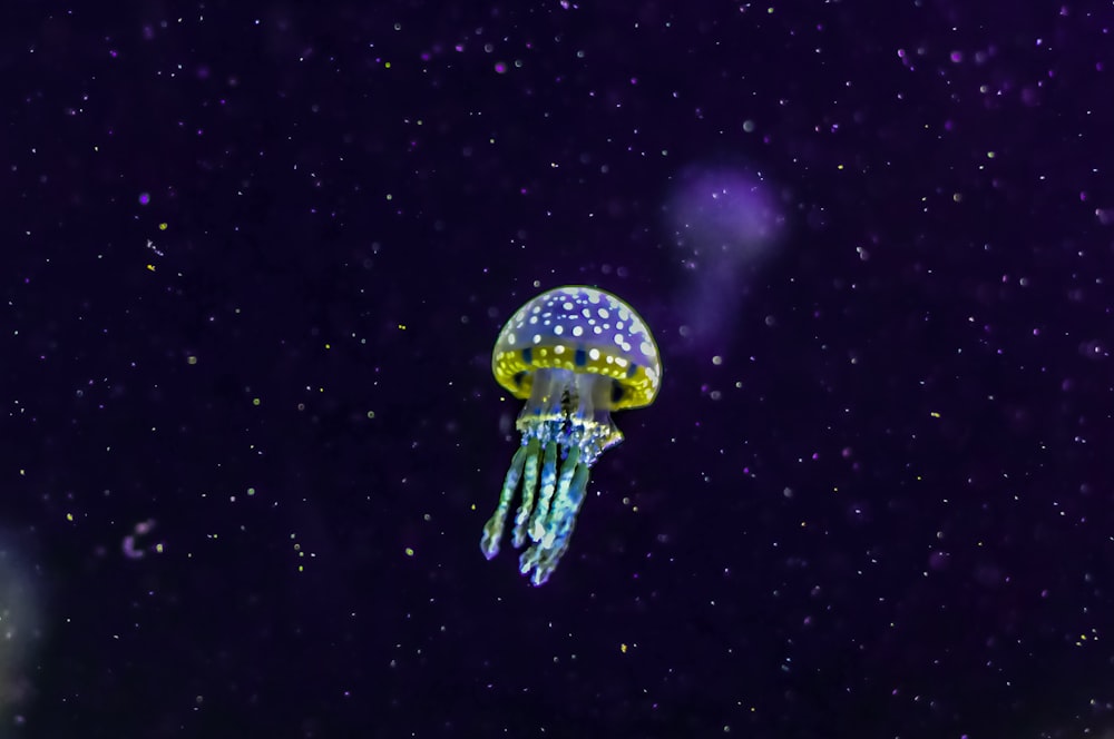 a jellyfish floating in the deep blue water