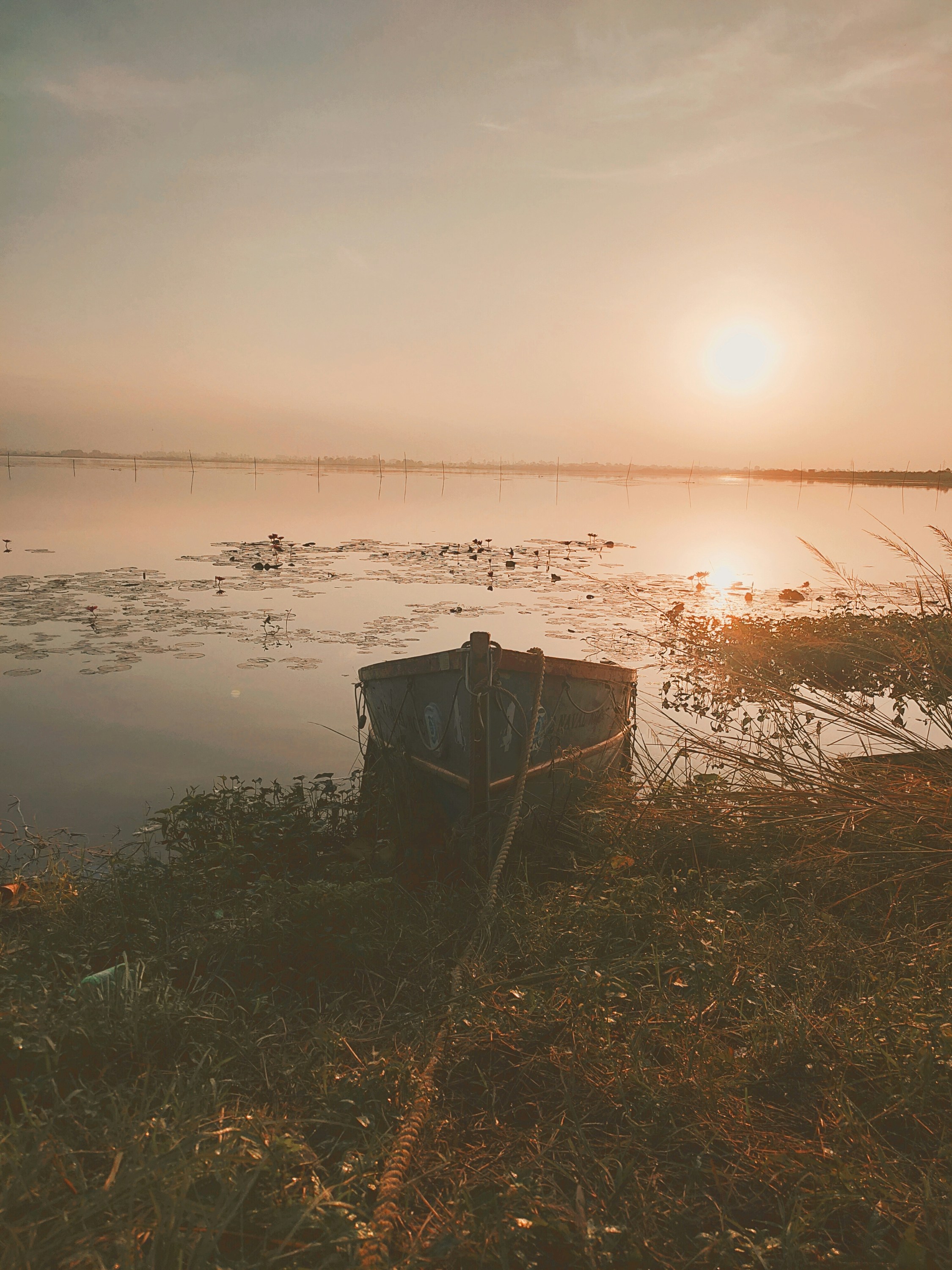 Photo by photophile_harshil7