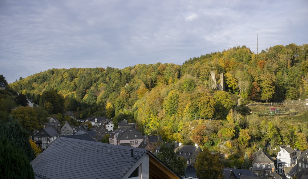 a view of a town with a mountain in the background