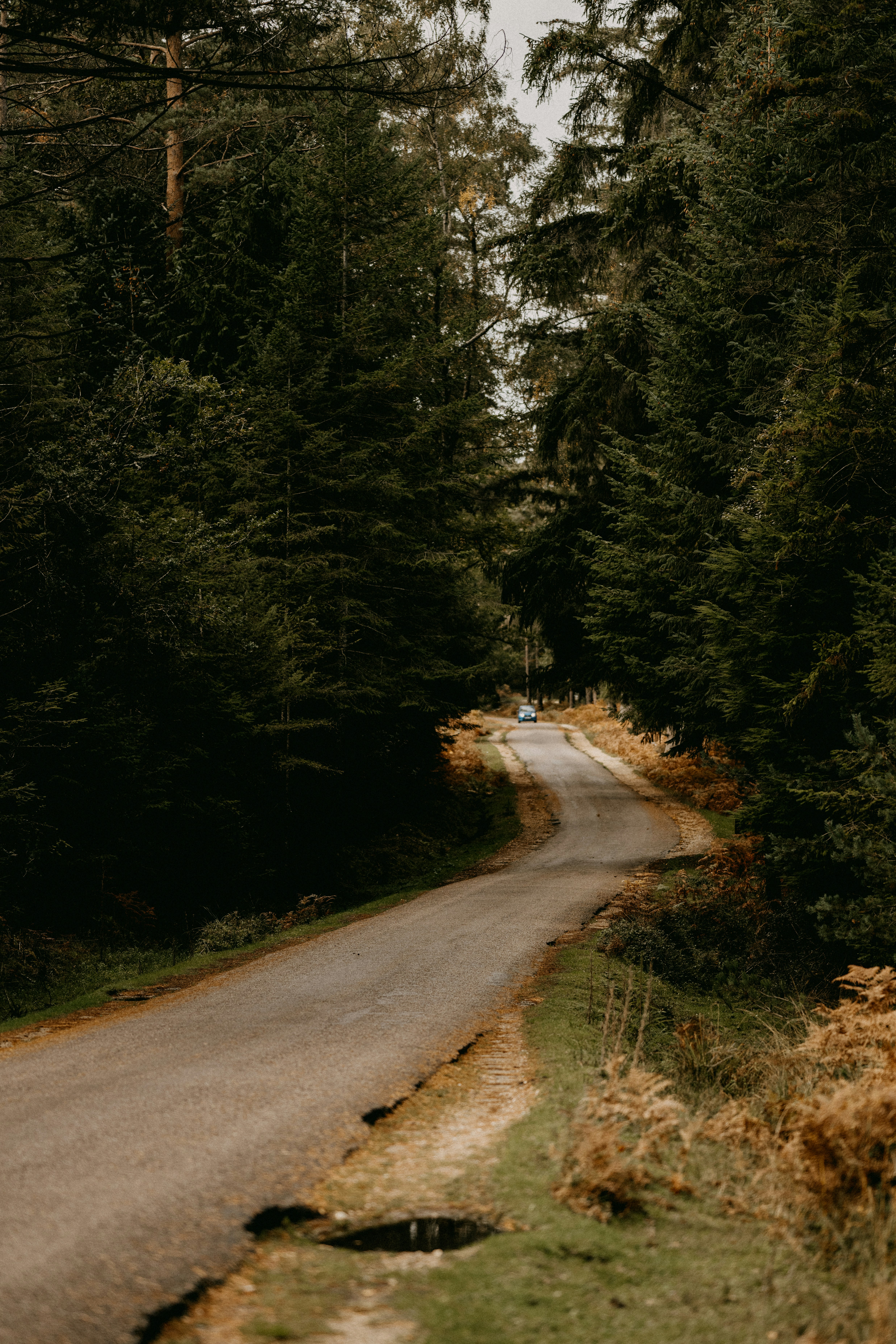 Photo by anniespratt