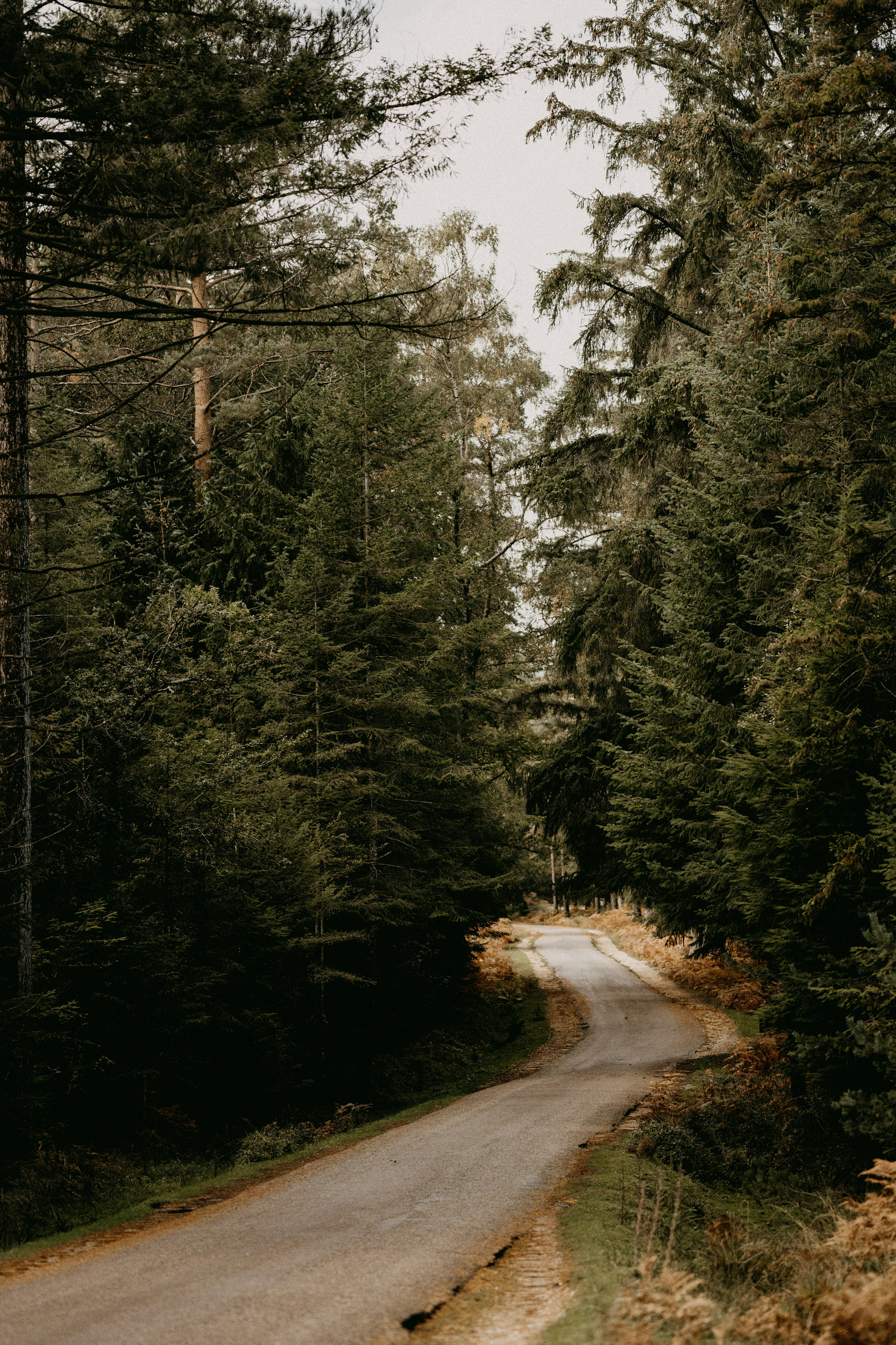 Photo by anniespratt