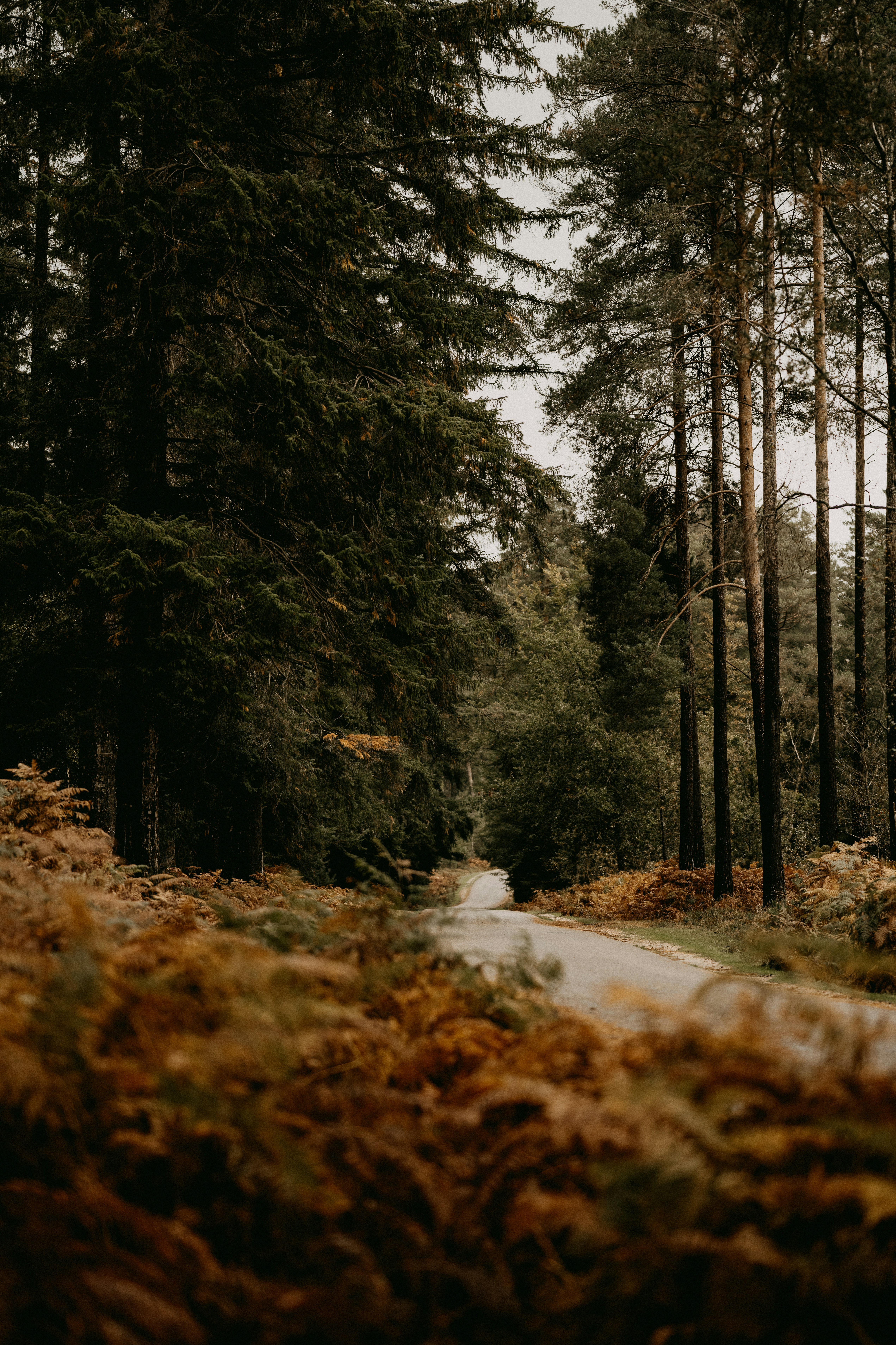 Photo by anniespratt