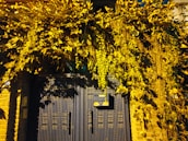 An inviting entrance gate to a Mohini Veer Estates apartment complex at dusk.