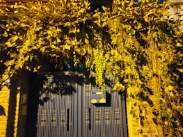 An inviting entrance gate to a Mohini Veer Estates apartment complex at dusk.