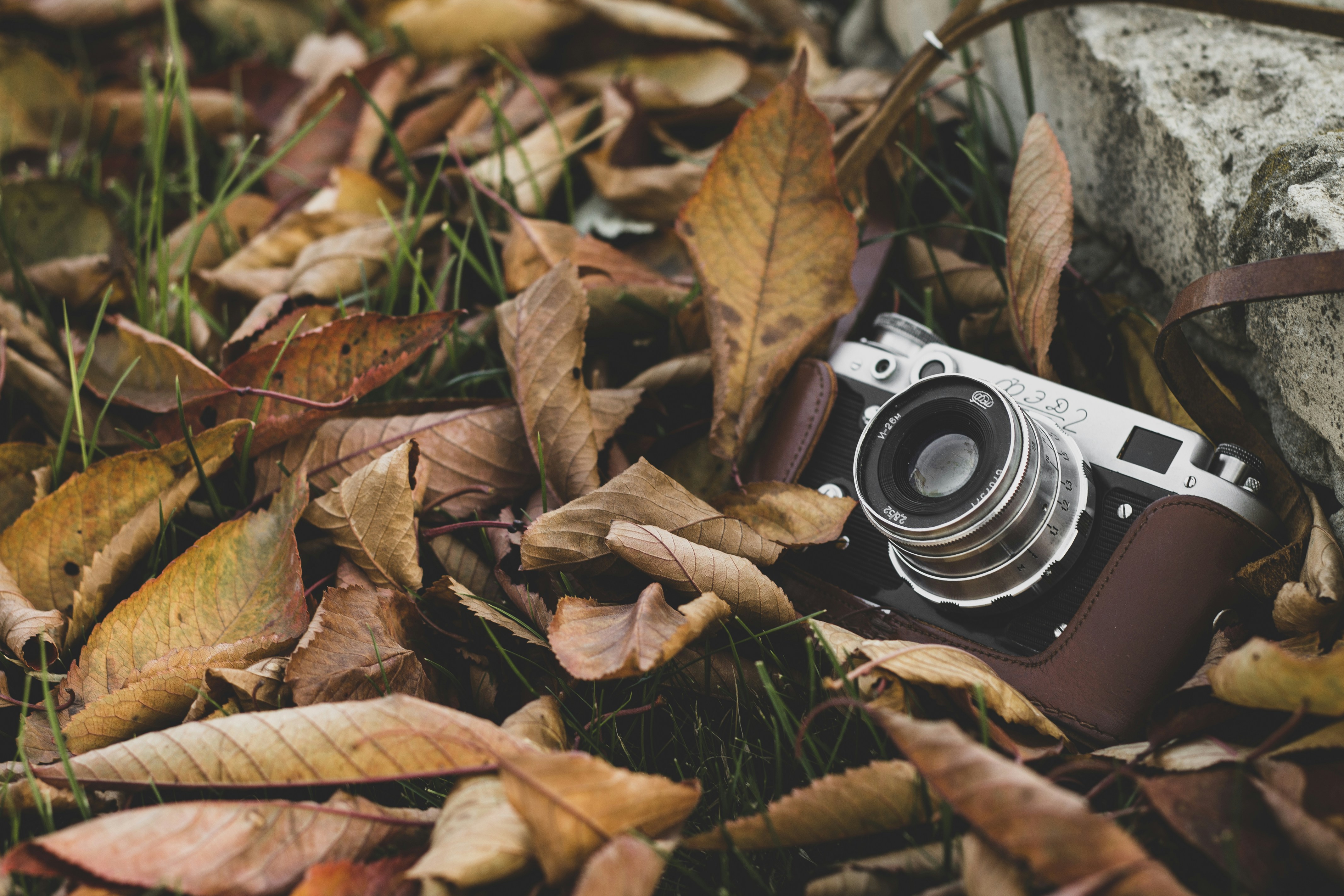 Photo by mr_papricka