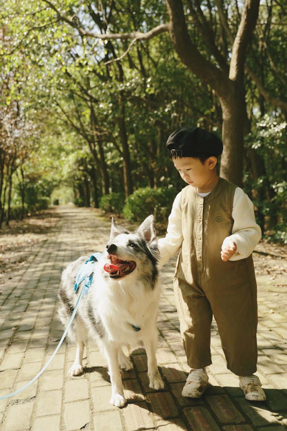 a person and a dog on a leash