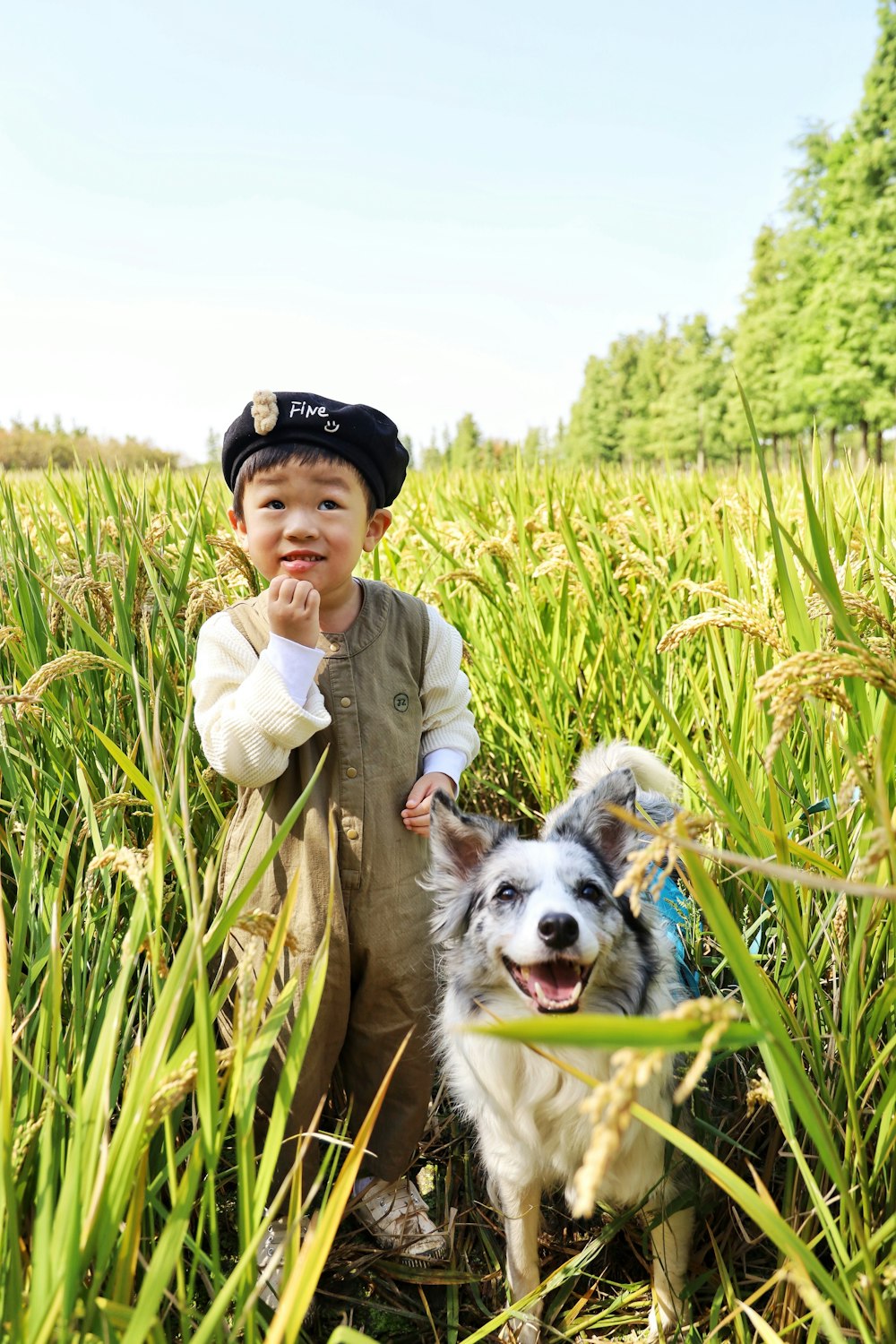 Un cane in piedi in cima a un campo coperto di erba